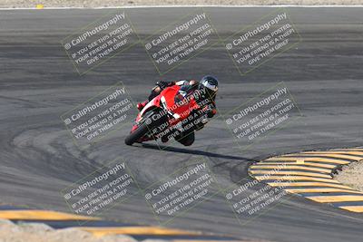 media/Mar-09-2024-SoCal Trackdays (Sat) [[bef1deb9bf]]/1-Bowl Exit (940am)/